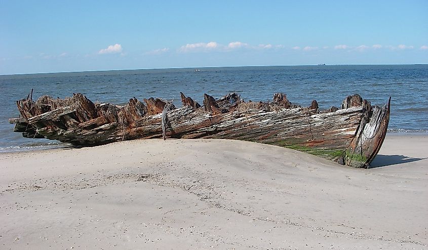 Beach and log on Beach Plum Island, Delaware.