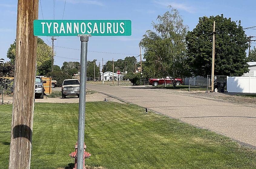 A sign for Tyrannosaurus Trail, a street in Dinosaur, By Jeffrey Beall - Own work, CC BY 4.0, https://commons.wikimedia.org/w/index.php?curid=106811483