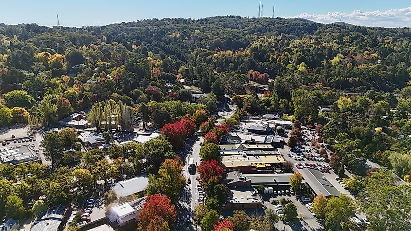 Stirling, Adelaide Hills, South Australia in Autumn.