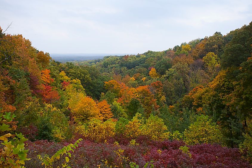 Fall foliage in Brown County State Park near Gnaw Bone in Indiana.