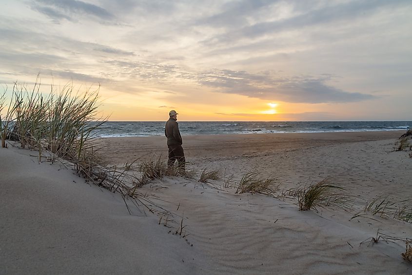 Cape Henlopen State Park