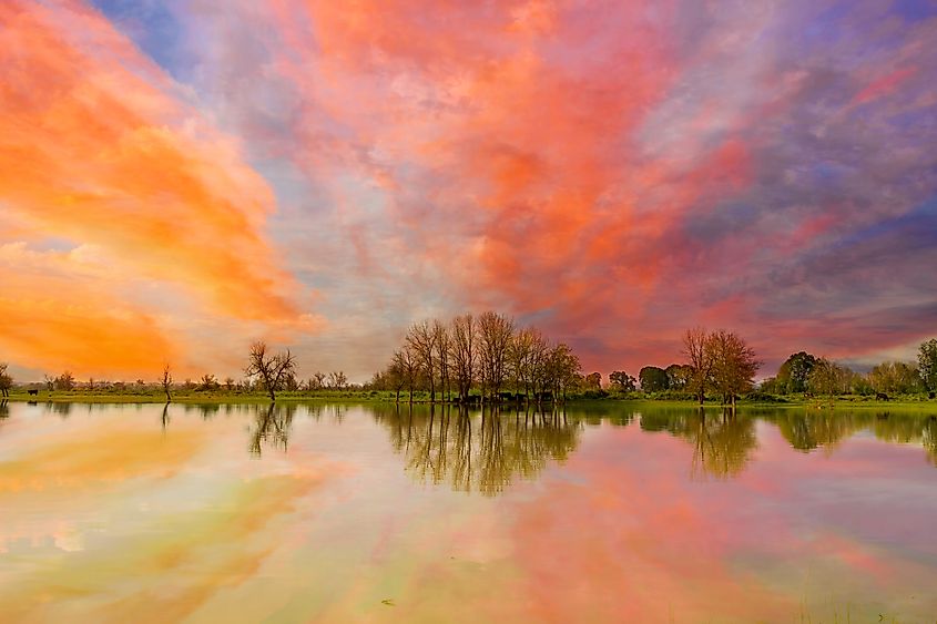 Colorful sunset over farmland on Sauvie Island in Portland, Oregon