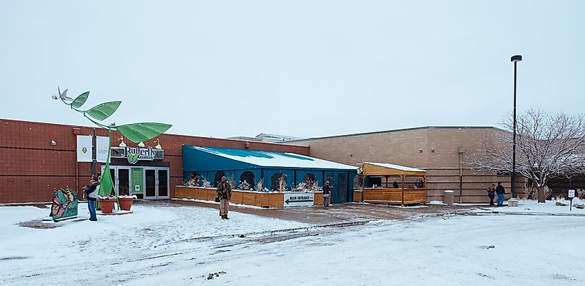 Butterfly Pavilion. In Wikipedia. https://en.wikipedia.org/wiki/Butterfly_Pavilion By Jared Winkler - Own work, CC BY-SA 4.0, https://commons.wikimedia.org/w/index.php?curid=70614497