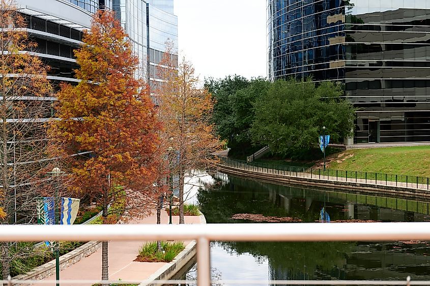 Fall foliage in The Woodlands, Texas.