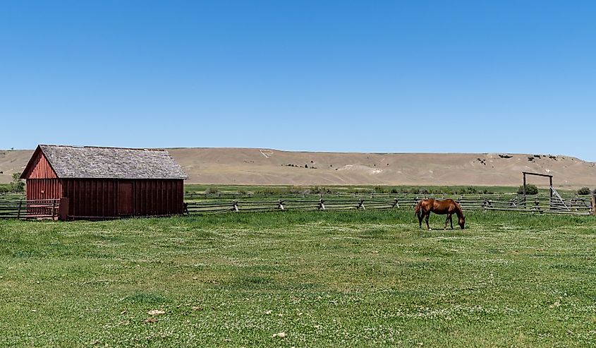 Barn and horse at the Grant-Kohrs National Historic Site Ranch, Deer Lodge, Montana.