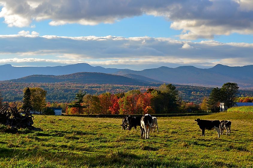 Shelburne, Vermont