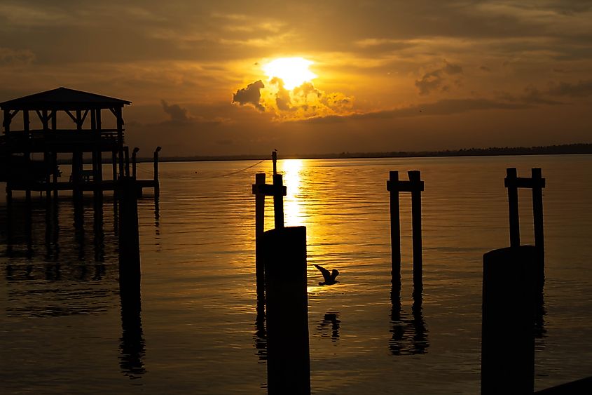 Birds at Sunset...Bay St. Louis, MS.