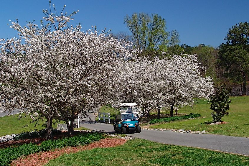 A beautiful scene in Peachtree City, Georgia.