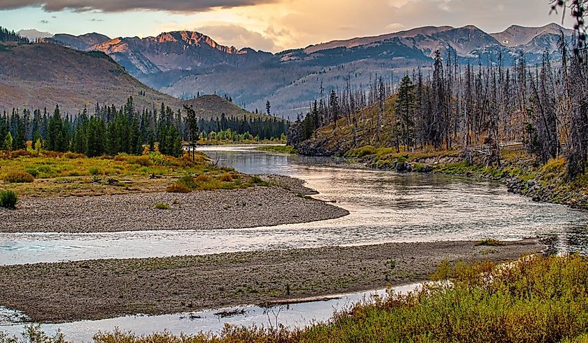 The beautiful Snake River as it snakes through the Wyoming wilderness showing the colors of early autumn.