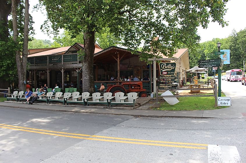 Betty’s Country Store in Helen, Georgia (Michael Rivera, CC BY-SA 4.0 <https://creativecommons.org/licenses/by-sa/4.0>, via Wikimedia Commons)