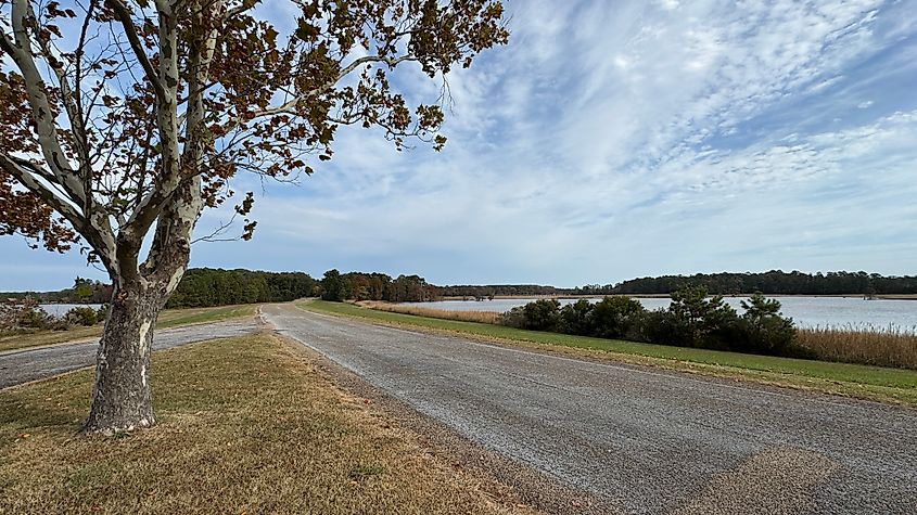 Colonial National Historical Parkway is a beautiful drive (Photo by Bryan Dearsley)