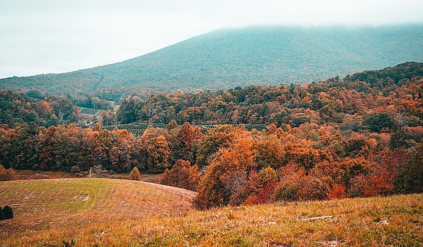 View of the mountain top and fall colors at the Virginia creeper trail