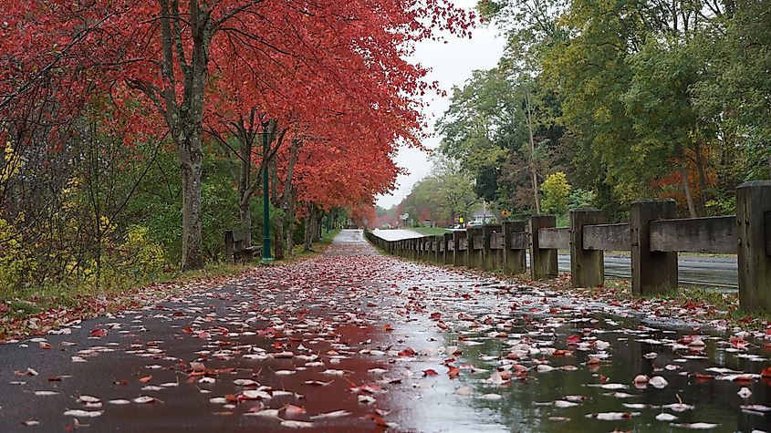 Fall colors in Simsbury, Connecticut