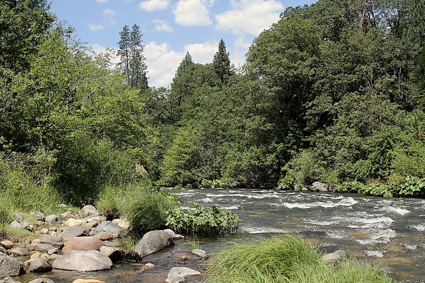 Upper Sacramento River at Castle Crags State Park