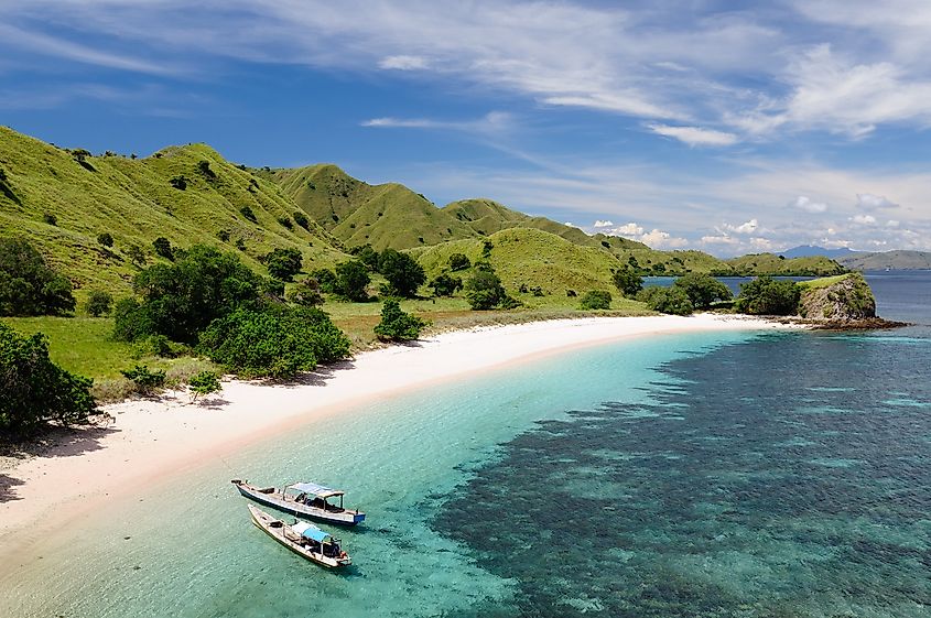 Beach in the Komodo national park in Indonesia. Image credit: Rafal Cichawa/Shutterstock.com