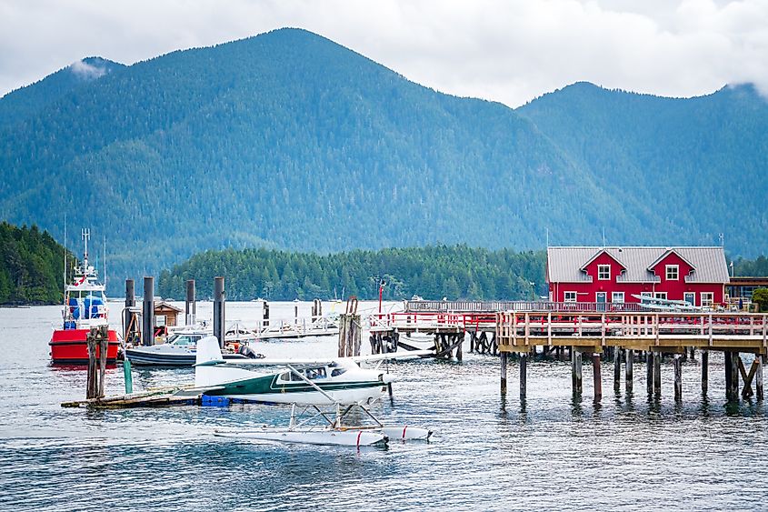 The harbor in Tofino, British Columbia