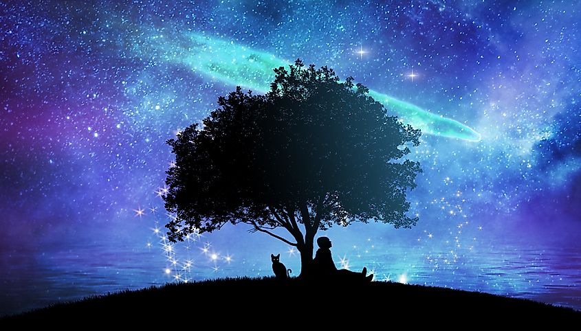 Young child and cat looking up at the stars