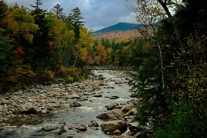 A fall day in Lincoln Woods in New Hampshire.