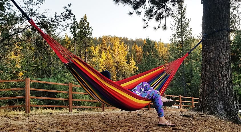 Relaxing in a hammock in Running Springs, California.