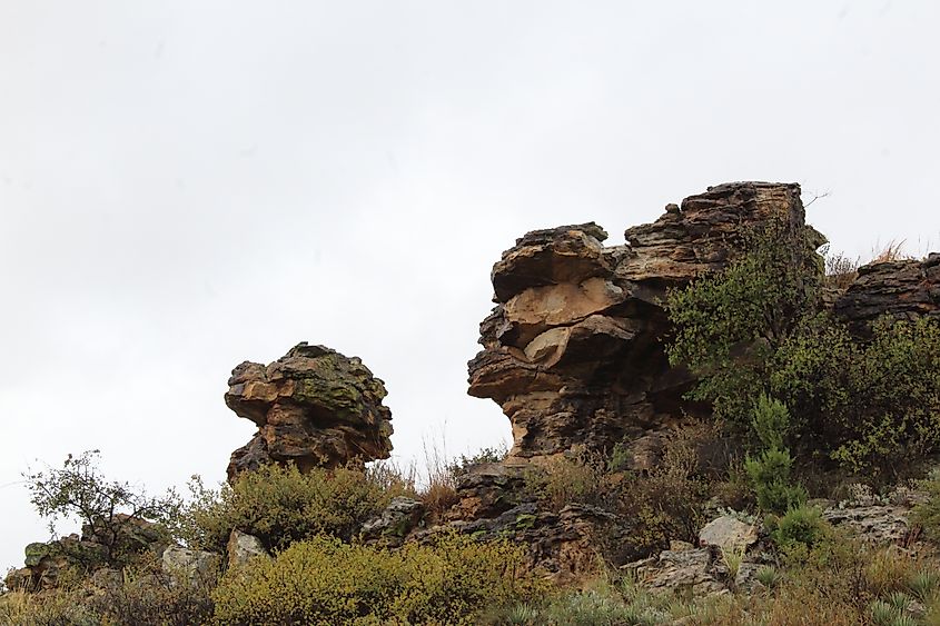 Black Mesa State Park