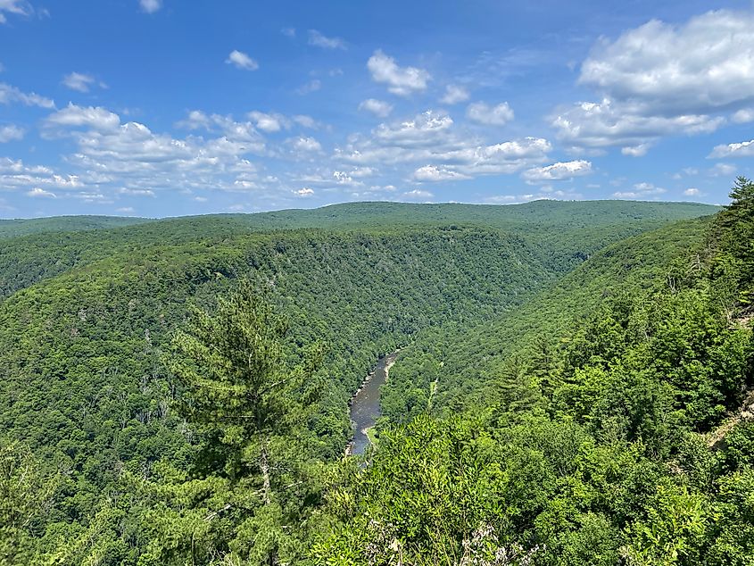 Pine Creek Gorge looking north from overlook at Leonard Harrison State Park in Tioga County, Pennsylvania