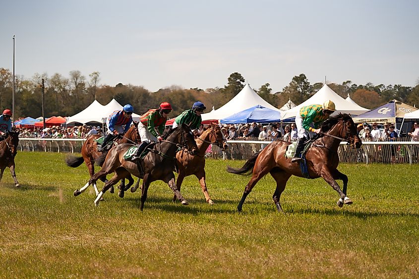 Aiken Spring Steeplechase in Aiken, South Carolina. Editorial credit: Hedley Lamarr / Shutterstock.com