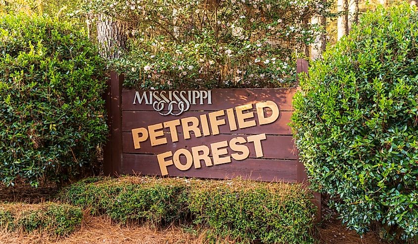 Mississippi Petrified Forest Entrance sign