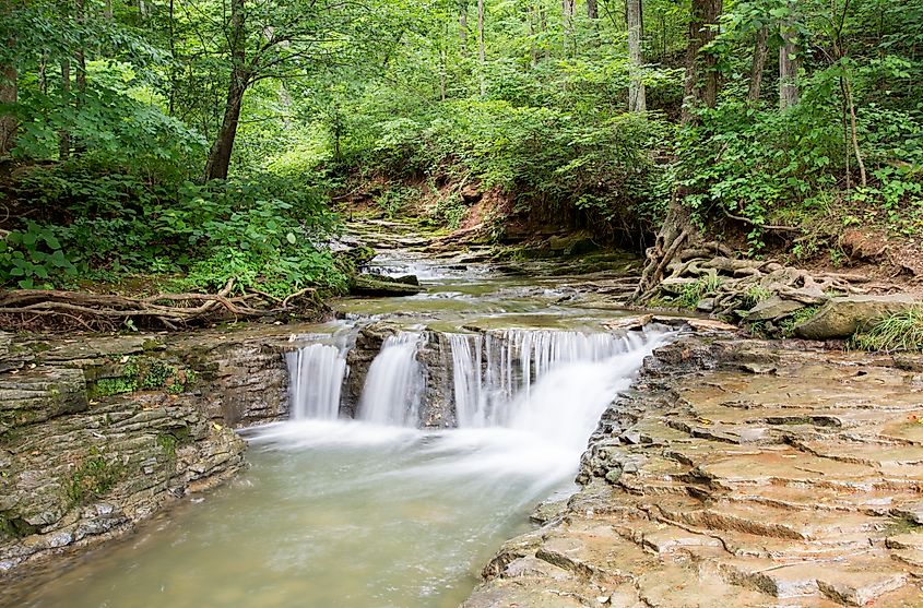 The Saunders Spring Nature Reserve near Radcliff, Kentucky.