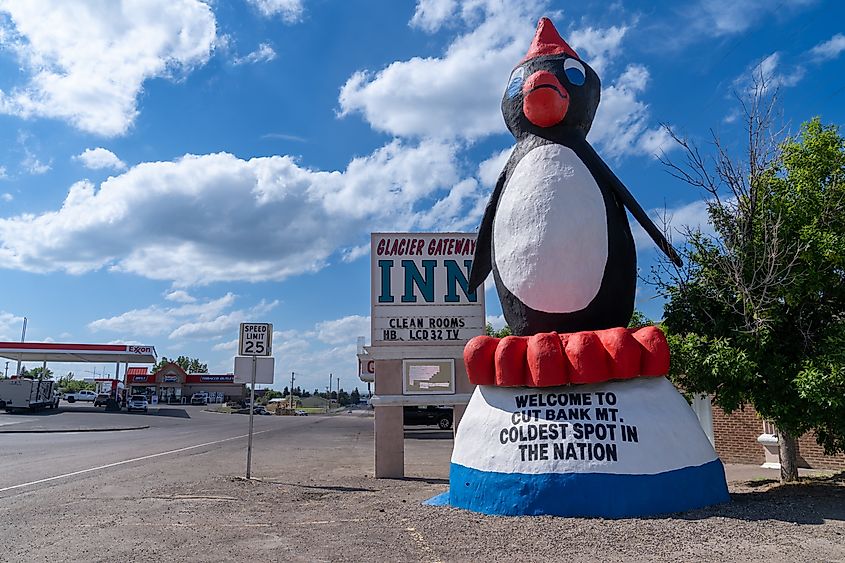 The Worlds Largest Penguin is in Cut Bank, Montana.