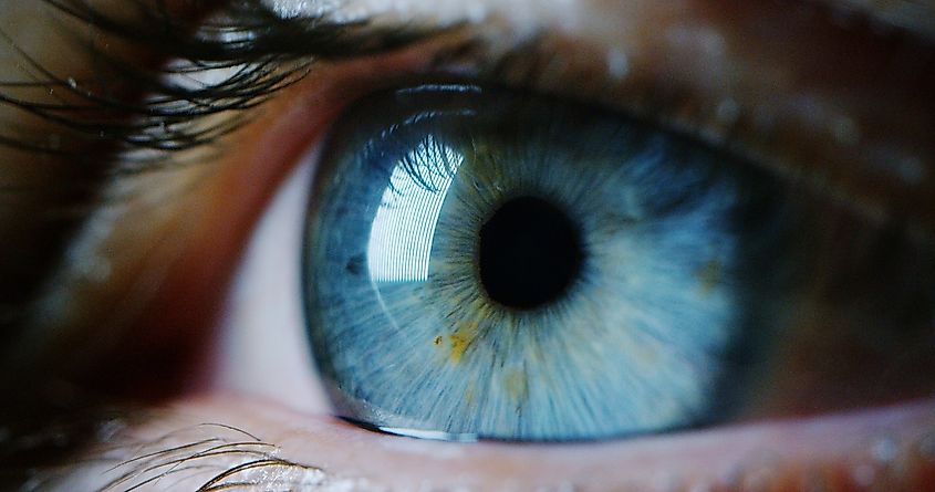 The truth about blue eyes: everything you need to know - Glasses