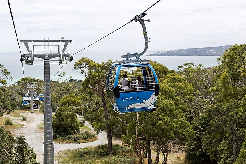 Gondolas of the Arthurs Seat Eagle Skylift, the newest attraction of the Mornington Peninsula, Victoria,