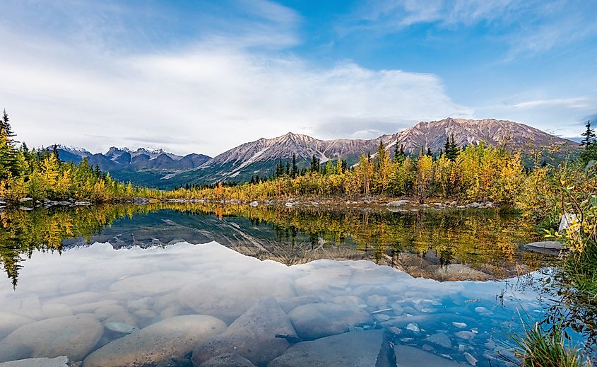 Autumn trees surrounding a lake near McCarthy, Alaska.