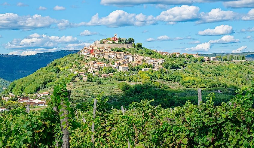 View of the charming village Motovun in Istria, Croatia.