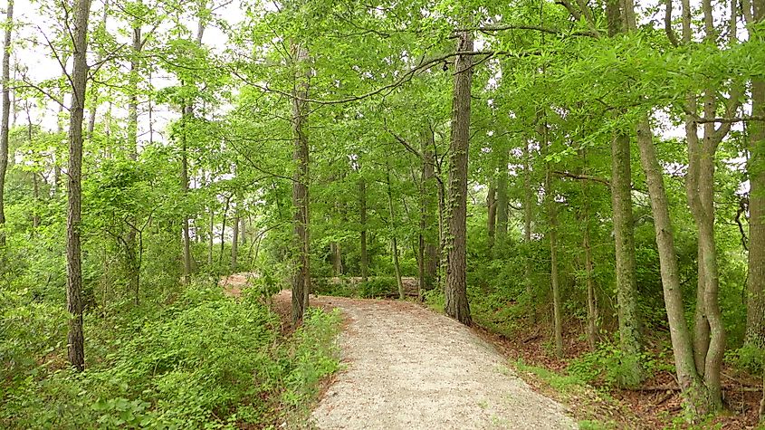 View from the Poquoson, Virginia Museum's marsh walk.