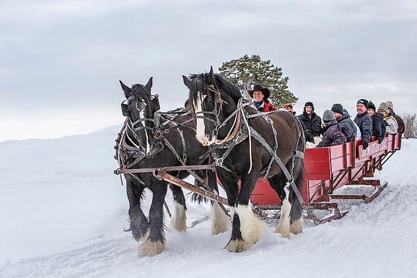 Visitors enjoying a sleigh ride in Winthrop, Washington