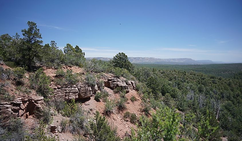 Mogollon Rim, Tonto National Forest view in Arizona