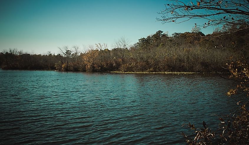 Killens Pond State Park