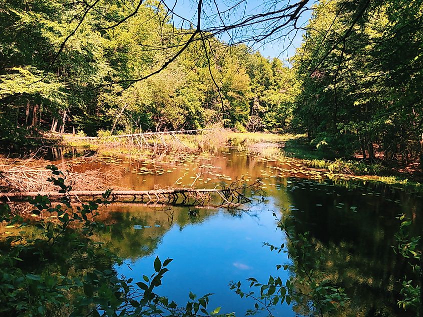 Mine Hill Preserve