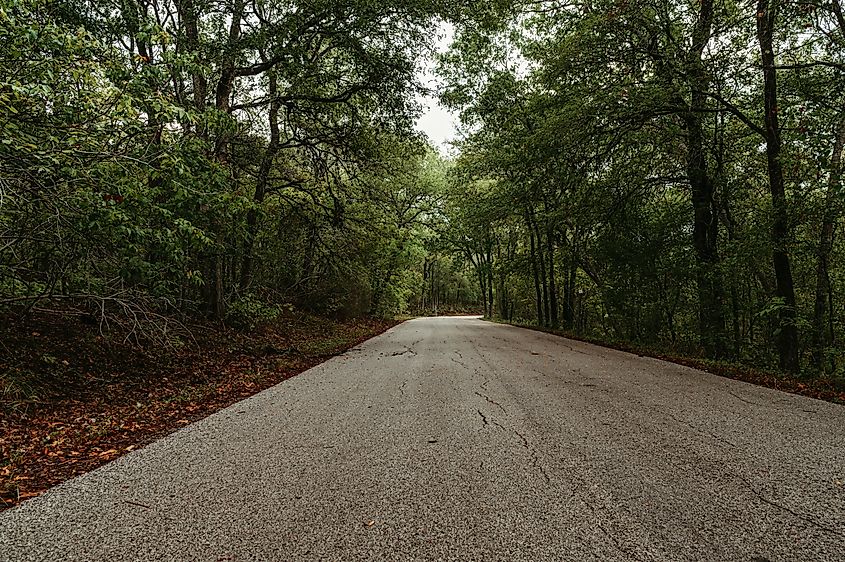 A road through Lockhart State Park just off the route from Austin to Rockport in Texas.