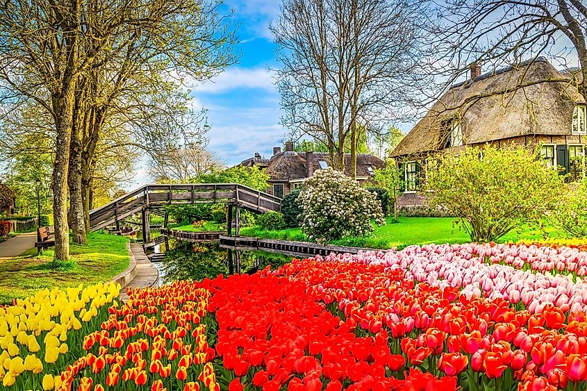 Rural dutch traditional country small old town Giethoorn with canals, Netherlands at spring.