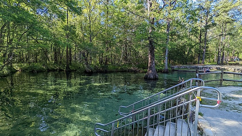 Beautiful springs at Ponce de Leon State Park.