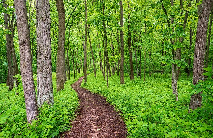 Effigy Mounds National Monument