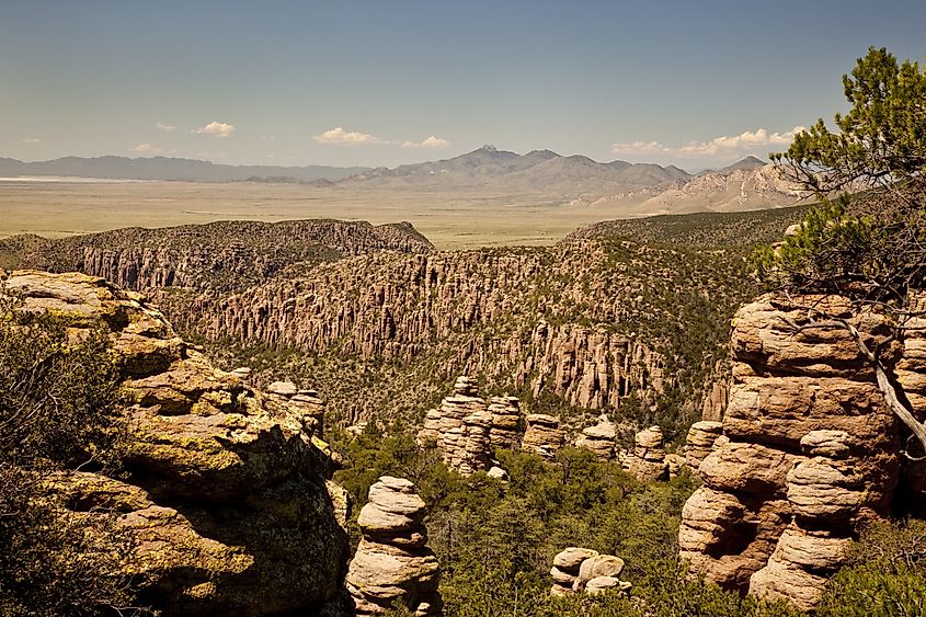 Chiricahua National Monument near Wilcox, Arizona.