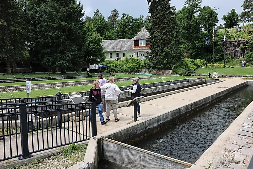 Spearfish, South Dakota: Tourists looking at young fish at Booth Historic National Fish Hatchery