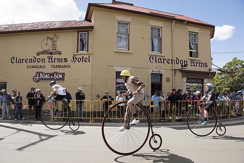 Evandale, Tasmania, during the National Penny-Farthing Championships.
