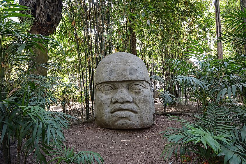 Olmec Colossal head made of stone in Mexico