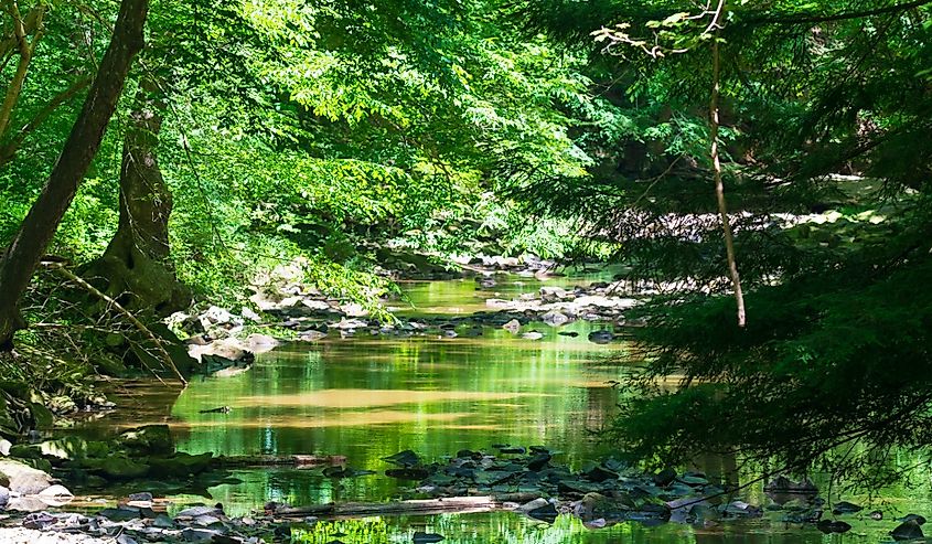 A scenic view of Turkey Creek, located in the Shawnee State Park, Friendship, Ohio.