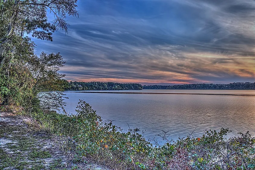 Walter F. George Lake from the Florence marina.