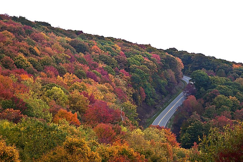 Cherohala Skyway in the fall, featuring vibrant autumn foliage and panoramic mountain views.