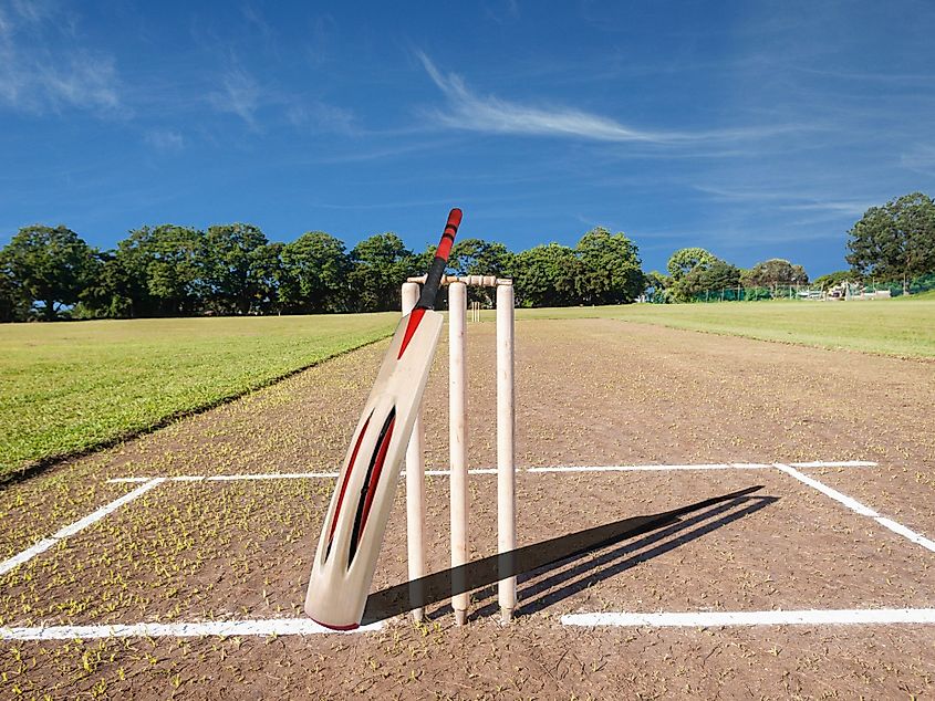 Cricket bat and stumps